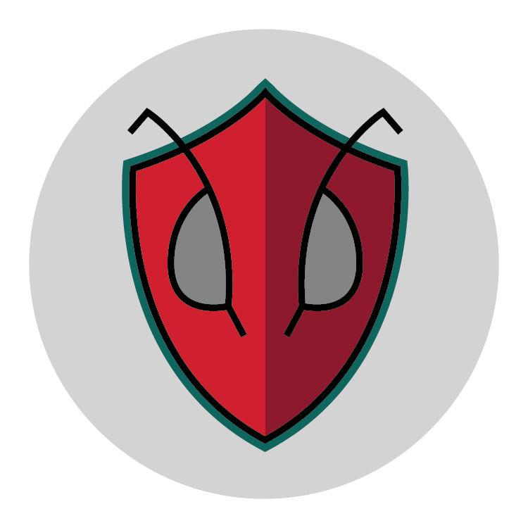 Home Inspections, Radon Services and Pest Control Toledo, Cincinnati