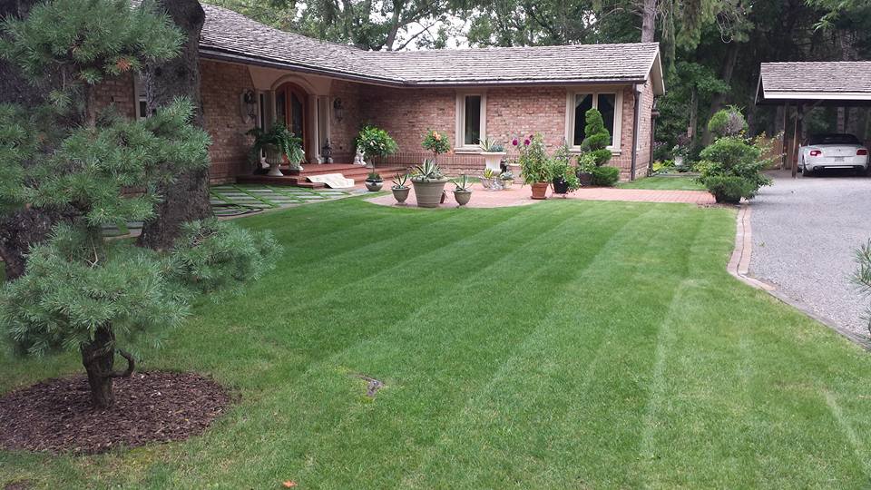 Gallery All Scapes Lawn Care