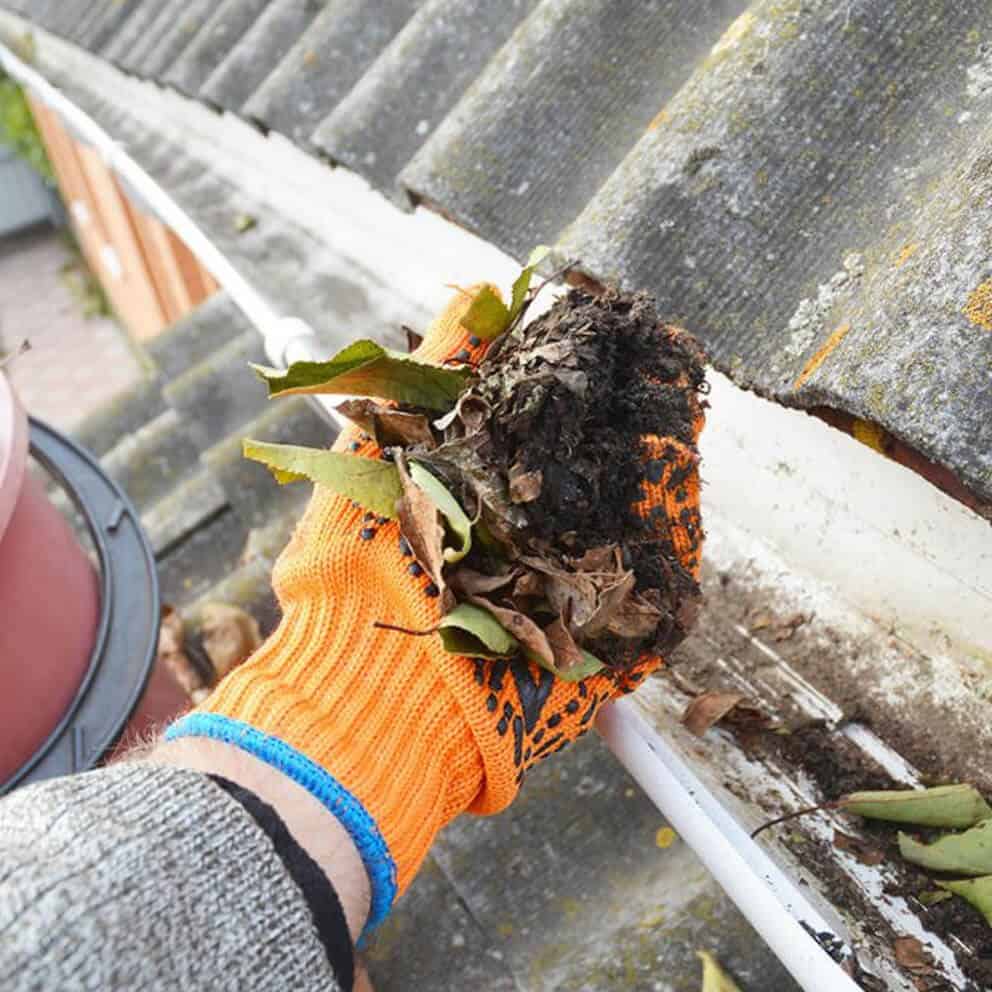 Gutter Cleaning Derby & Nottingham All Seasons Clean