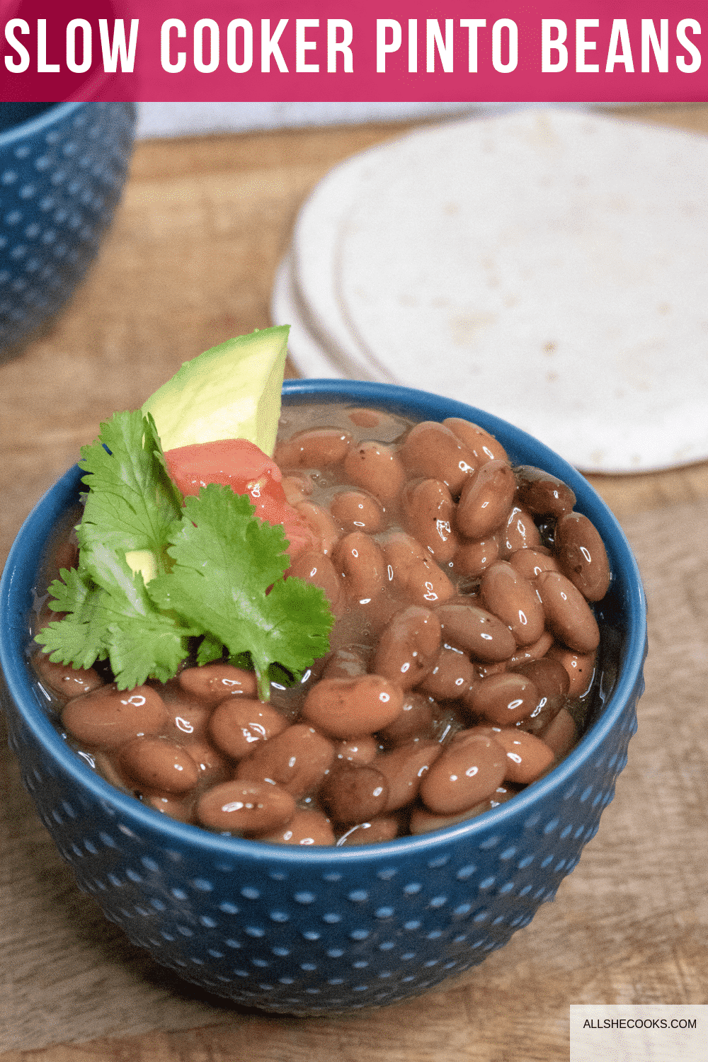 Slow Cooker Pinto Beans All She Cooks