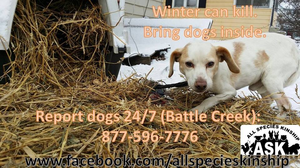 Dog Outreach All Species Kinship