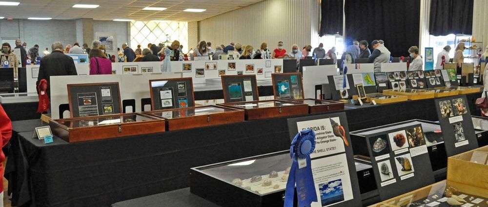 Sarasota Fl Events April 2023 Annual Sarasota Shell Show 2023 Allspira