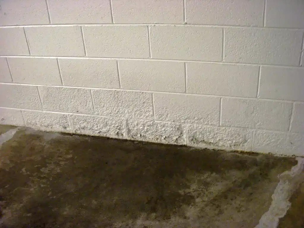 A Comprehensive Guide to Basement Waterproofing Methods All Star