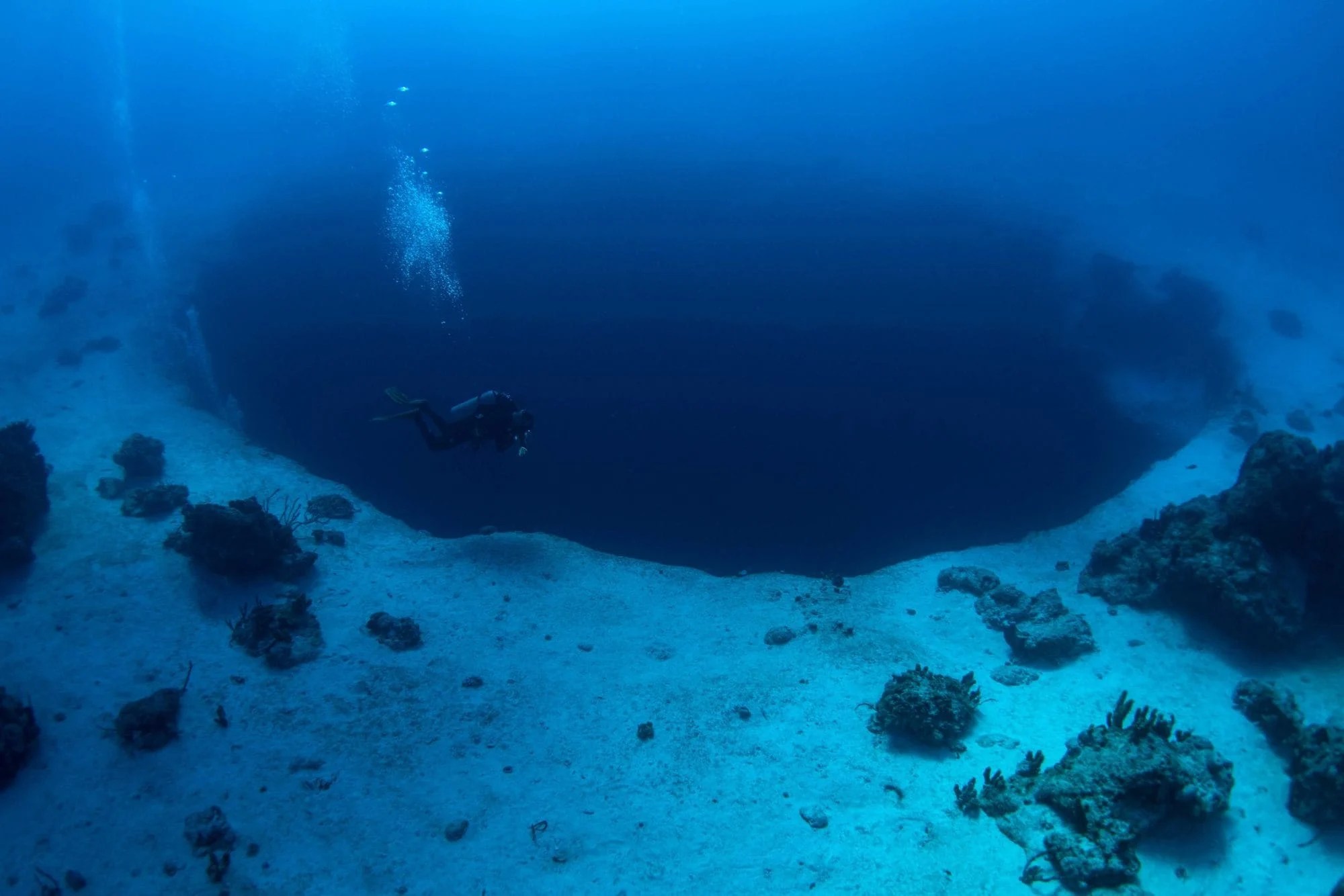 Blue Hole Diving at one of the Best Dive Sites in the Bahamas All