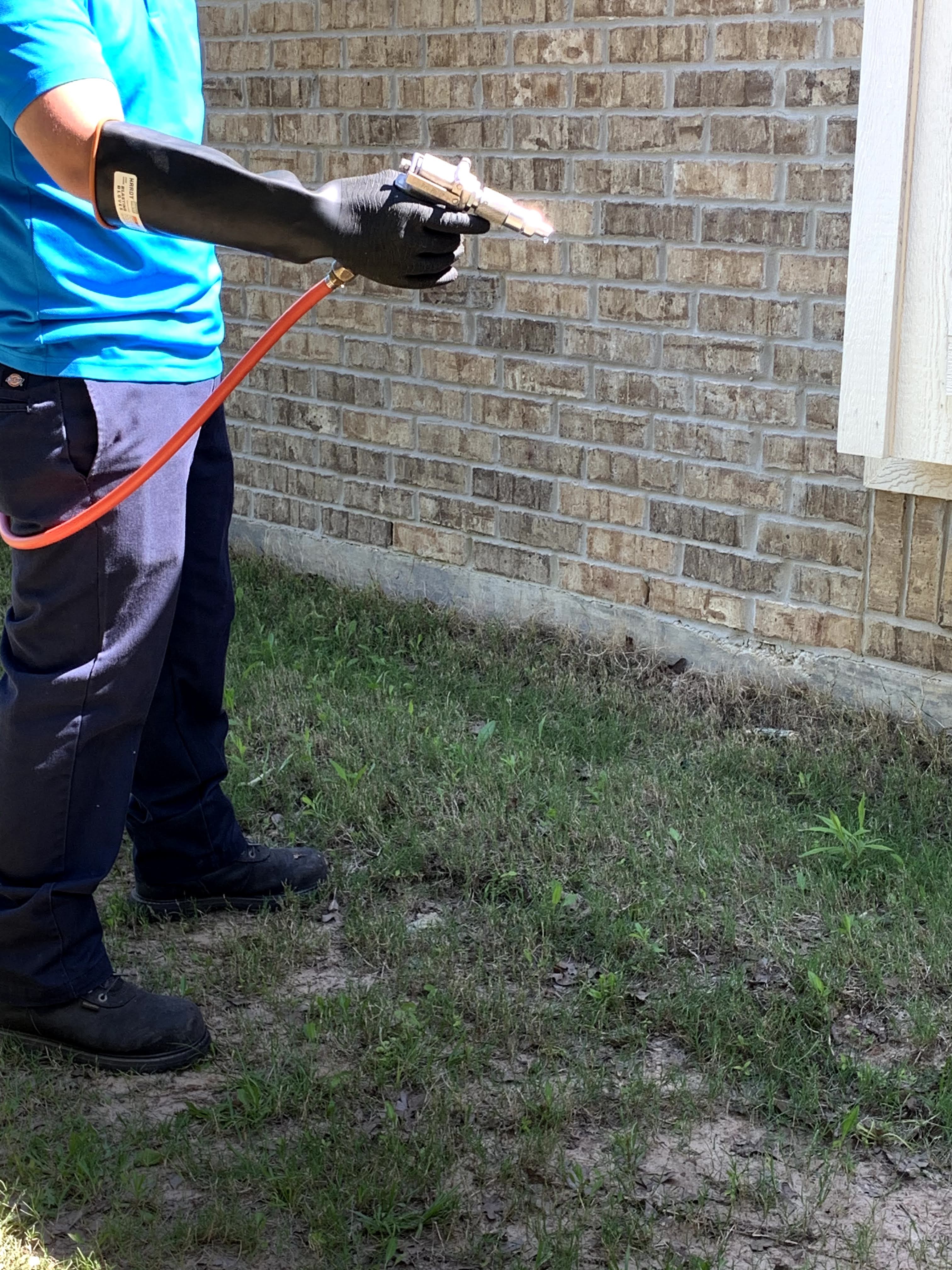 Pest Control Allstar Pest Control