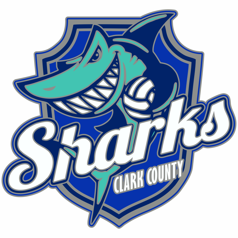 Volleyball Trading Pins Volleyball Team Pins