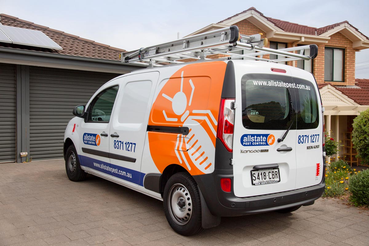 Pest Control North Adelaide North Adelaide Pest Control Allstate Pest Control