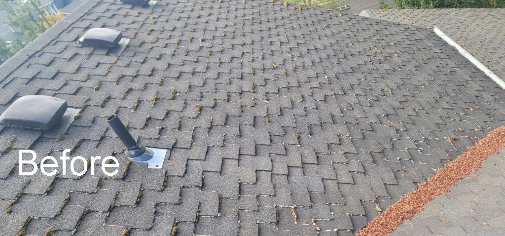Roof Moss Removal in Portland | Before & After Soft Wash Photos