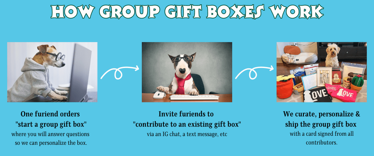 Group Gift Boxes All Tails Wag
