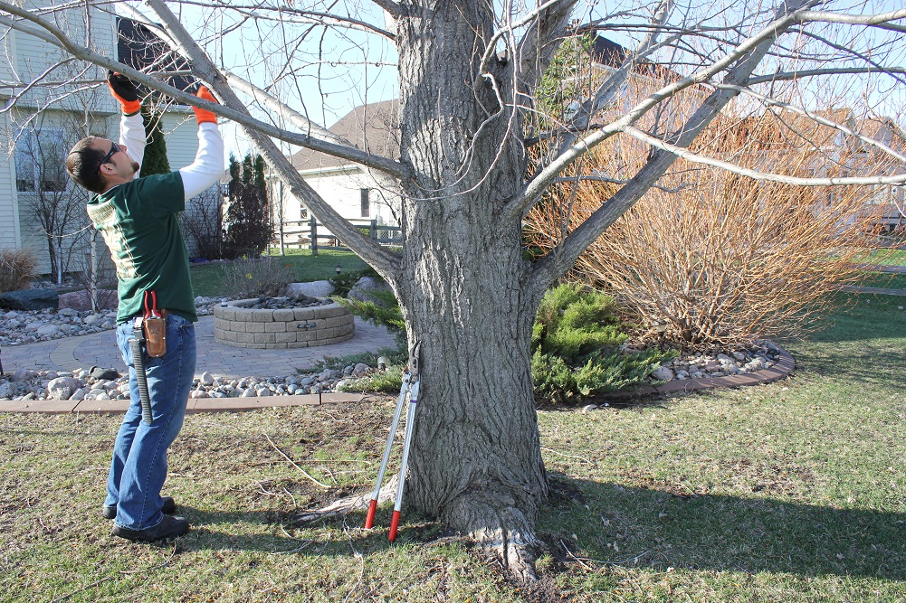 Blog AllTerrain Grounds Maintenance Fargo, ND