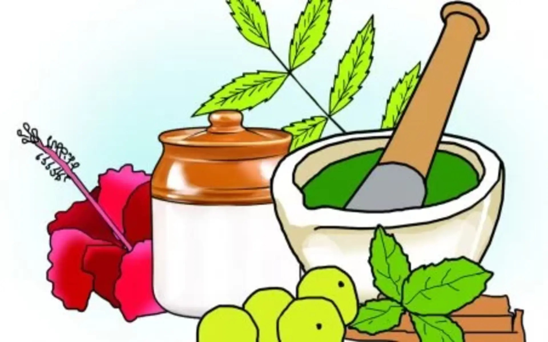 Media & Gallery Allthatbach