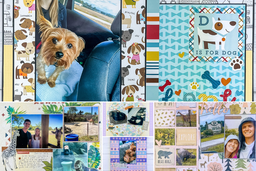 Animal Scrapbook Adorable Ways To Pay Homage To Your Pets