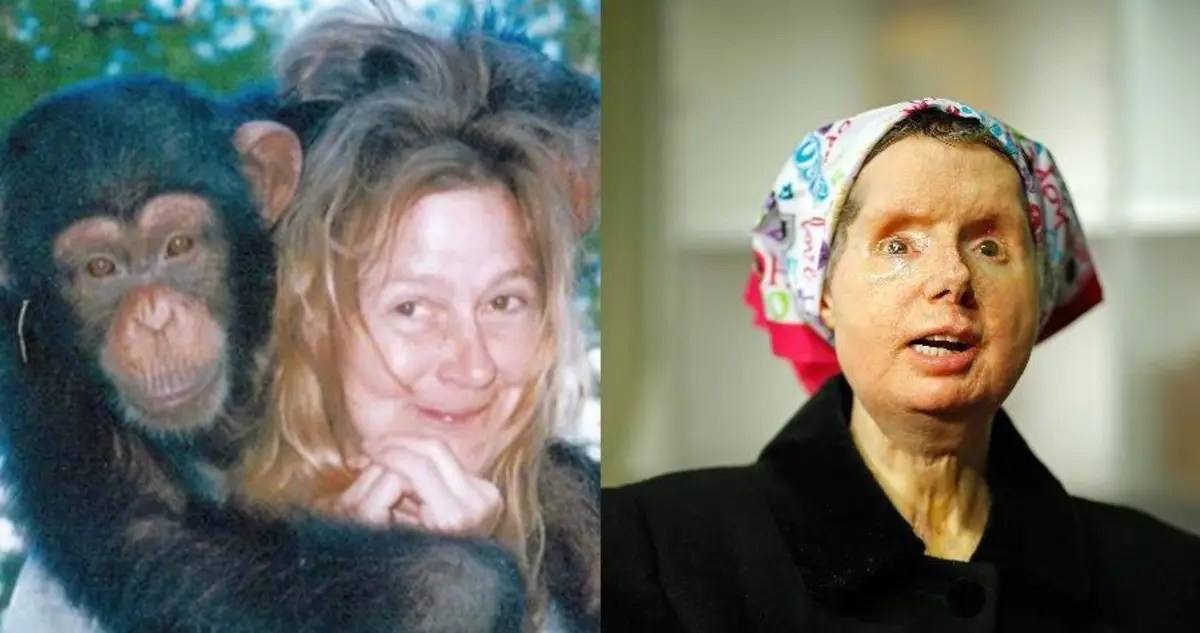 Orangutan Face Ripped Off