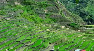 Rice Terraces Amphitehater