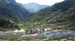 Rice Terraces World Heritage