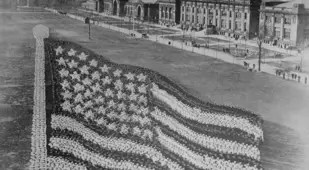 Living Photographs American Flag