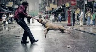 Jamel Shabazz Dog Owner