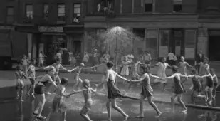 Todd Webb Sprinklers