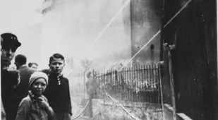 Children Looking At Fire