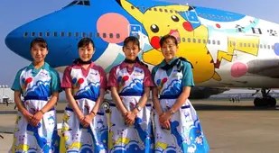 Pokemon Boeing Plane