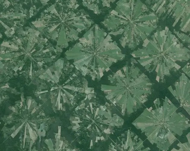 Rainforest Deforestation In Bolivia