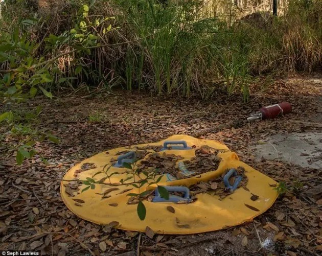 Disney Park That Was Closed In 2001