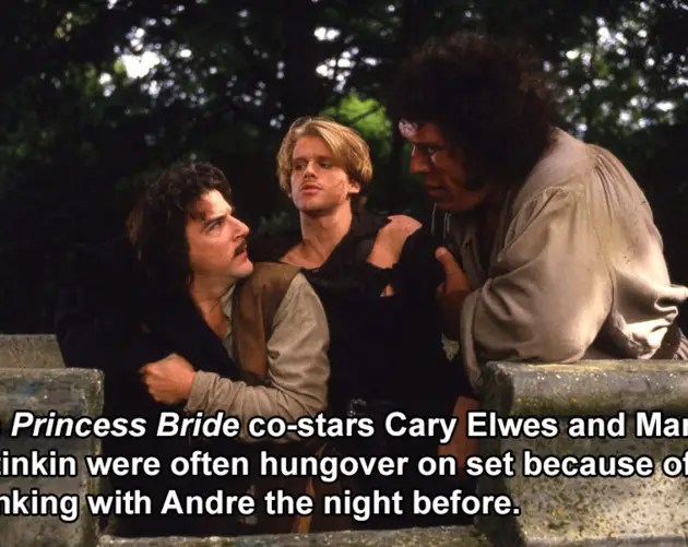 The Princess Bride