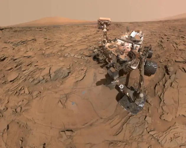Curiosity Self Portrait