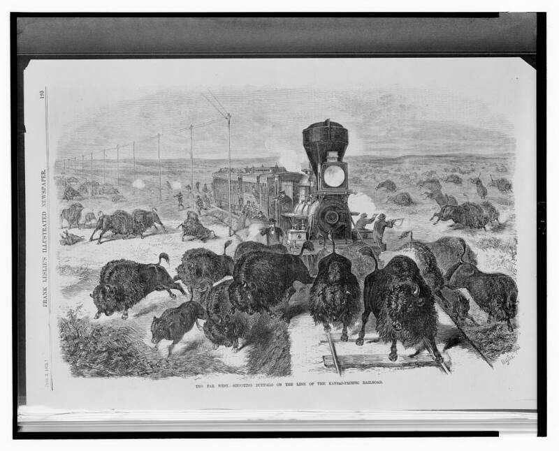 Buffalo Shot Railroad Track