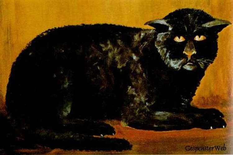 Hellfire Club Black Cat