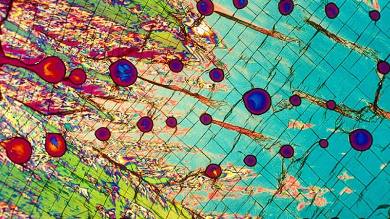 Colorful Microscopic Liquor