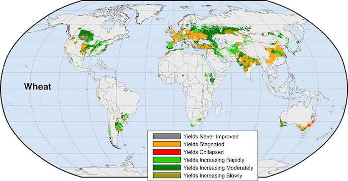 25 Maps Global Crops