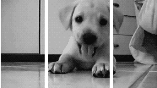 3D GIFs That Will Leap Off Your Screen And Blow Your Mind