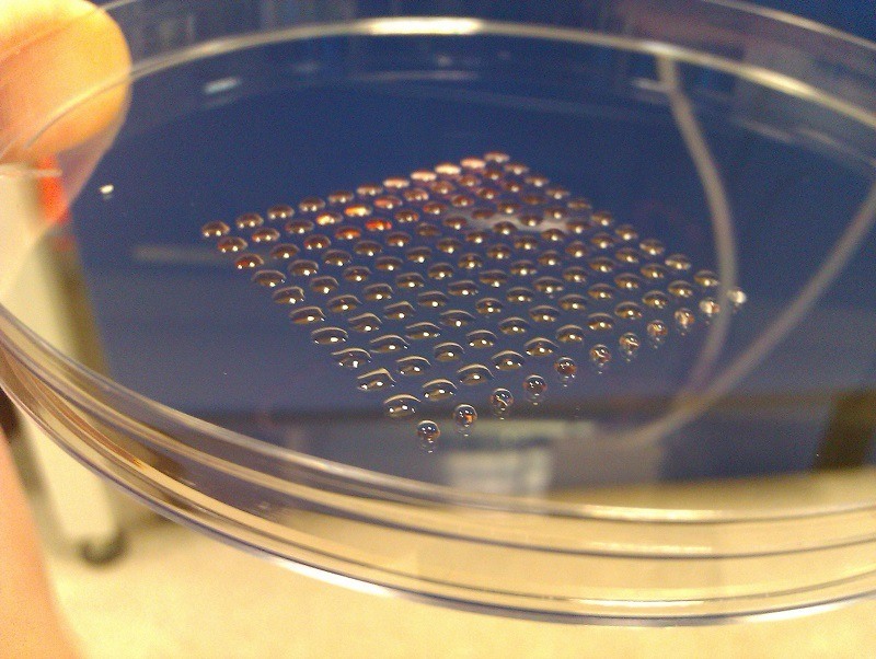 Living Stem Cells Printed