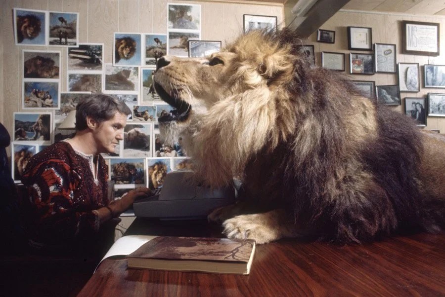 Pet Lions Tippi Hedren's Attempt To Bring The African Safari To Her Home