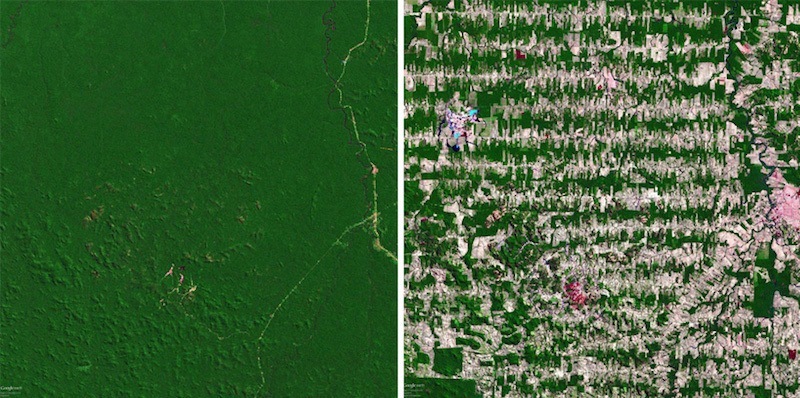 Amazon Rainforest In 1975 And 2008