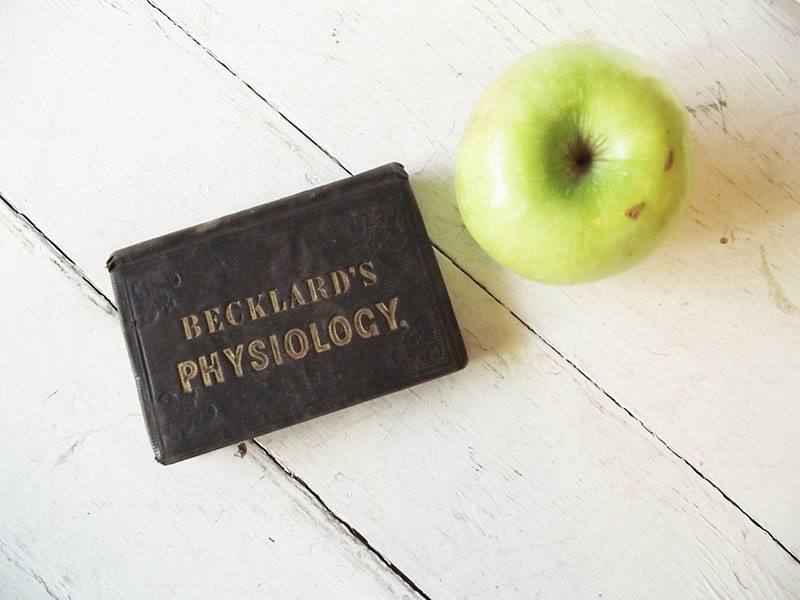 Becklards Physiology