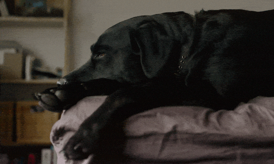 33 Magical Cinemagraph GIFs That Will Leave You Entranced