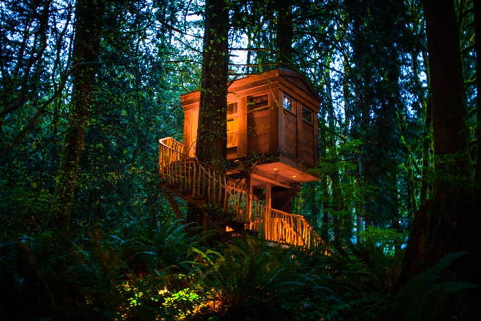 TreeHouse At Dusk