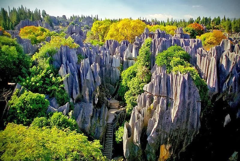 Chinese Stone Forest Picture