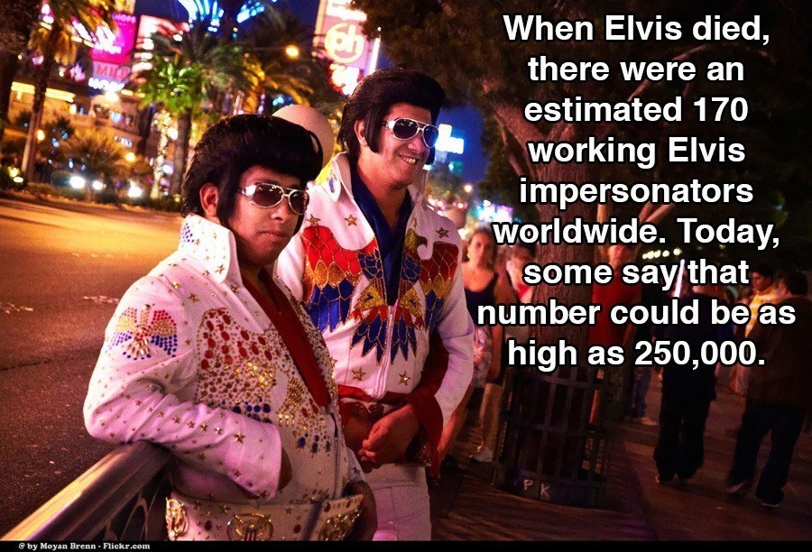 Elvis Impersonators