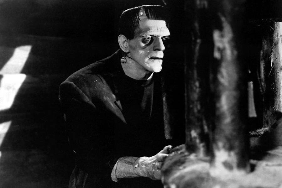 Frankenstein The Monster