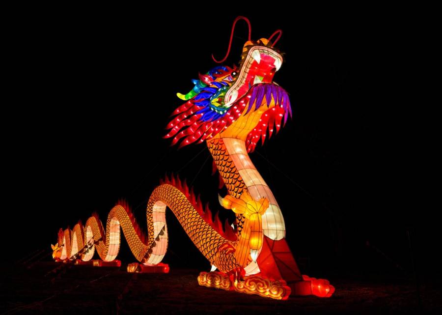Dragon