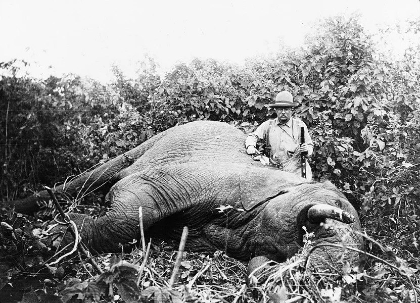 Roosevelt Elephant
