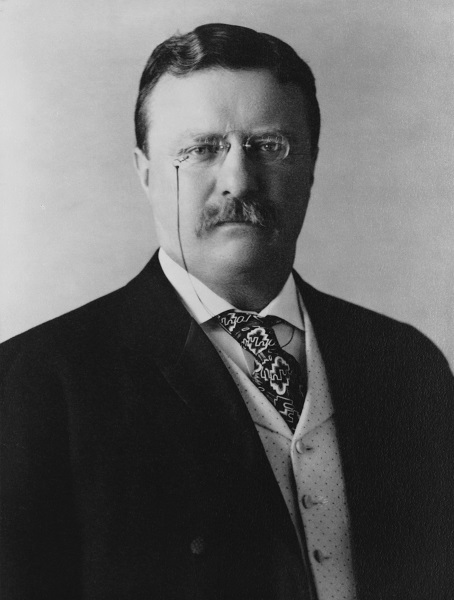 Roosevelt Portrait