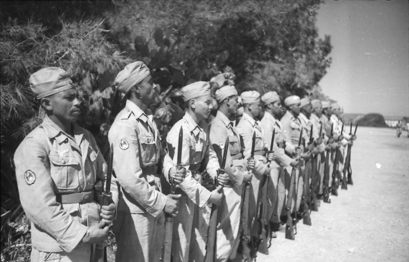 Free Arabian Legion Soldiers Lined Up