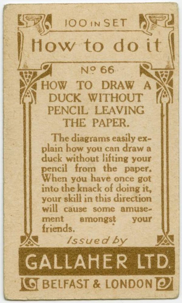 Draw Duck Back