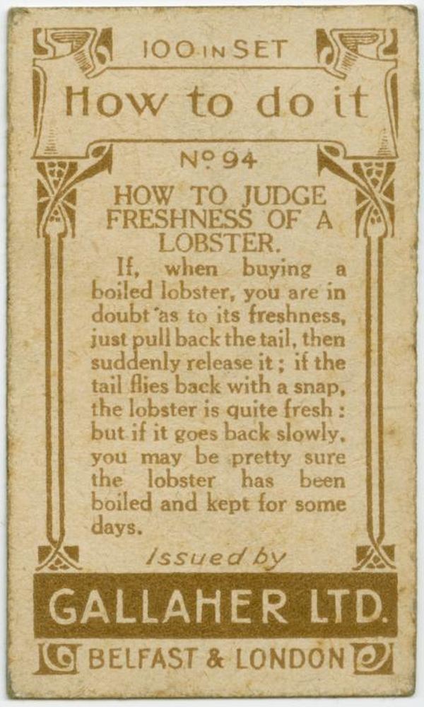 Judge Freshness Of A Lobster Back