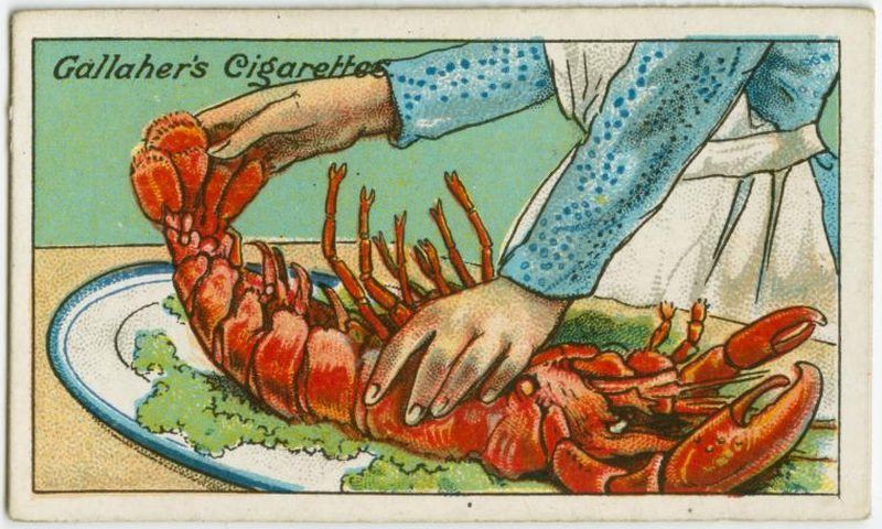 Judge Freshness Of A Lobster