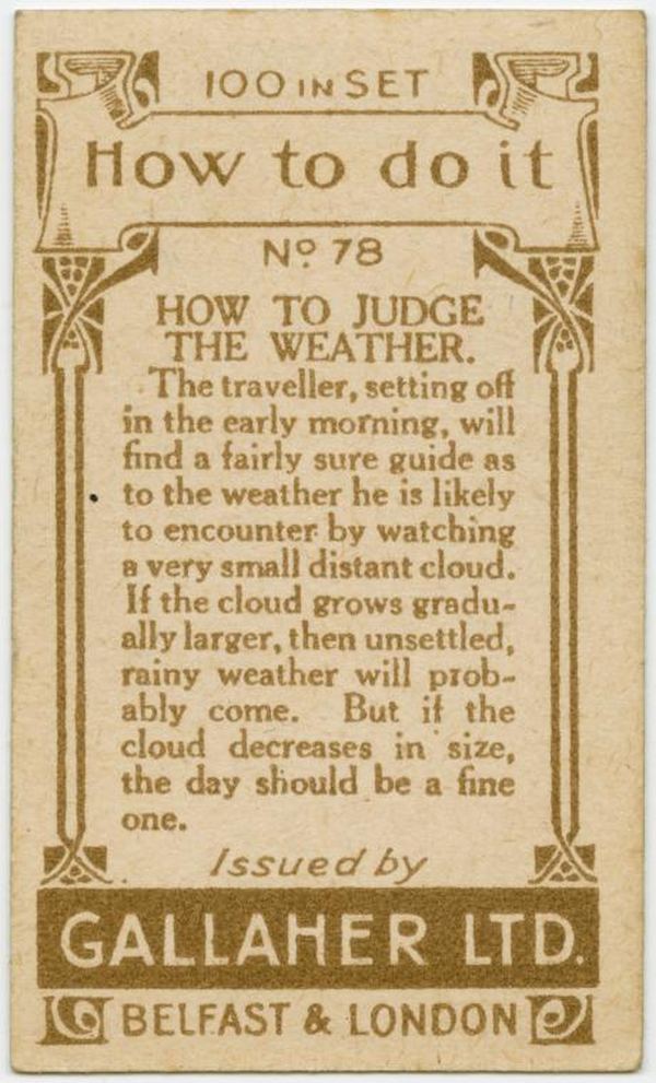Judge The Weather Back